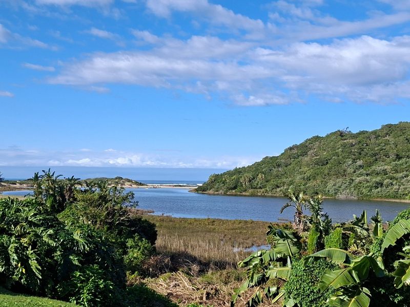 A scenic view overlooking a tranquil lagoon, lush coastal vegetation, and distant ocean horizon under a clear blue sky.