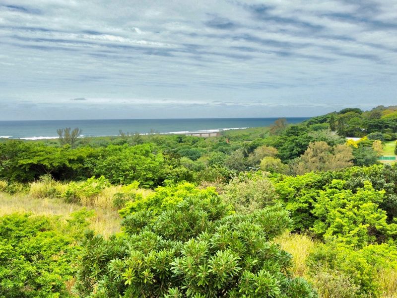 A scenic elevated view overlooking lush coastal vegetation and the ocean horizon.
