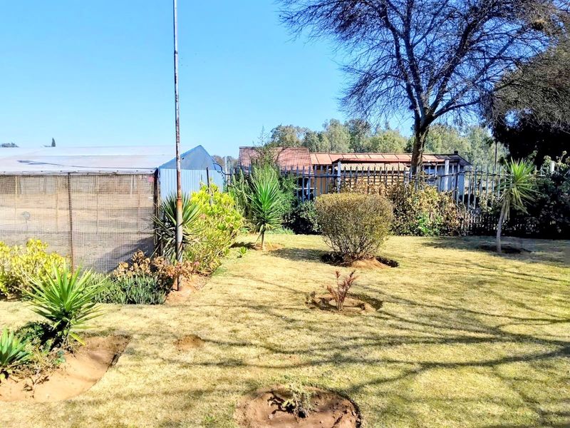 A view of the garden area featuring a greenhouse structure, mesh fencing, and established landscaping on a small holding property.