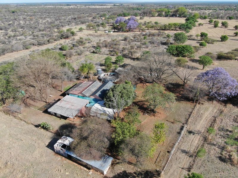 Aerial view of a small holding property featuring multiple outbuildings with corrugated metal roofing, surrounded by extensive natural landscape and mature trees.