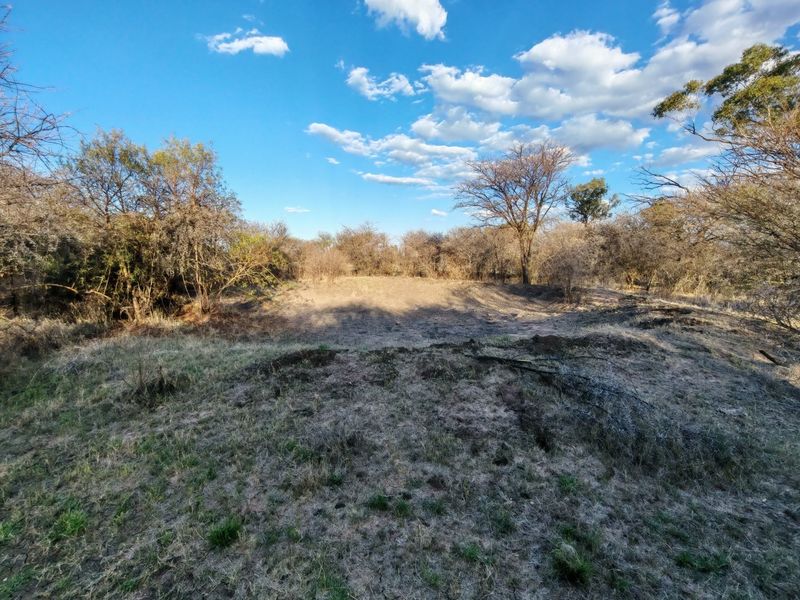 A view of the natural landscape and cleared land on the small holding, featuring indigenous trees and shrubs under a clear blue sky.