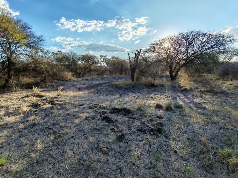A wide-angle view of the natural landscape and indigenous vegetation on the small holding property.