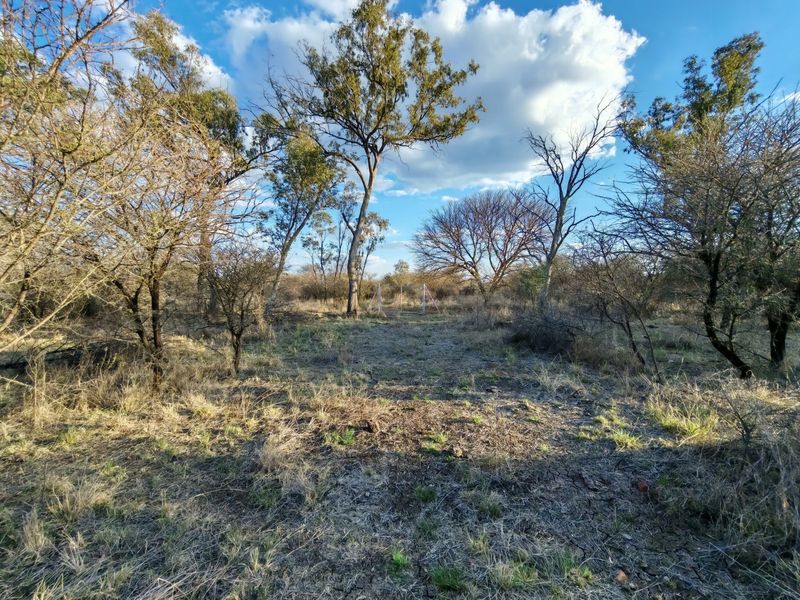 A view of the natural garden area featuring established indigenous trees and open veld landscape on the small holding.