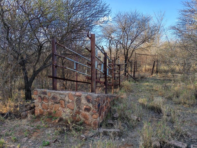 Outdoor livestock handling facility featuring a stone masonry base and weathered metal chute structure located within a natural bushveld setting.