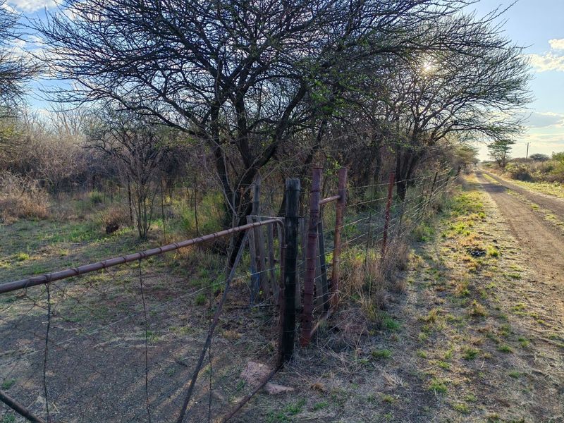 A view of the property boundary featuring a rustic metal gate, wire fencing, and a dirt access road surrounded by mature trees.