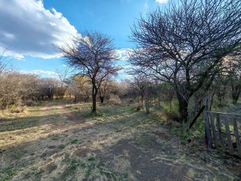A view of the natural landscape on the small holding, featuring a dirt track, mature trees, and basic perimeter fencing.