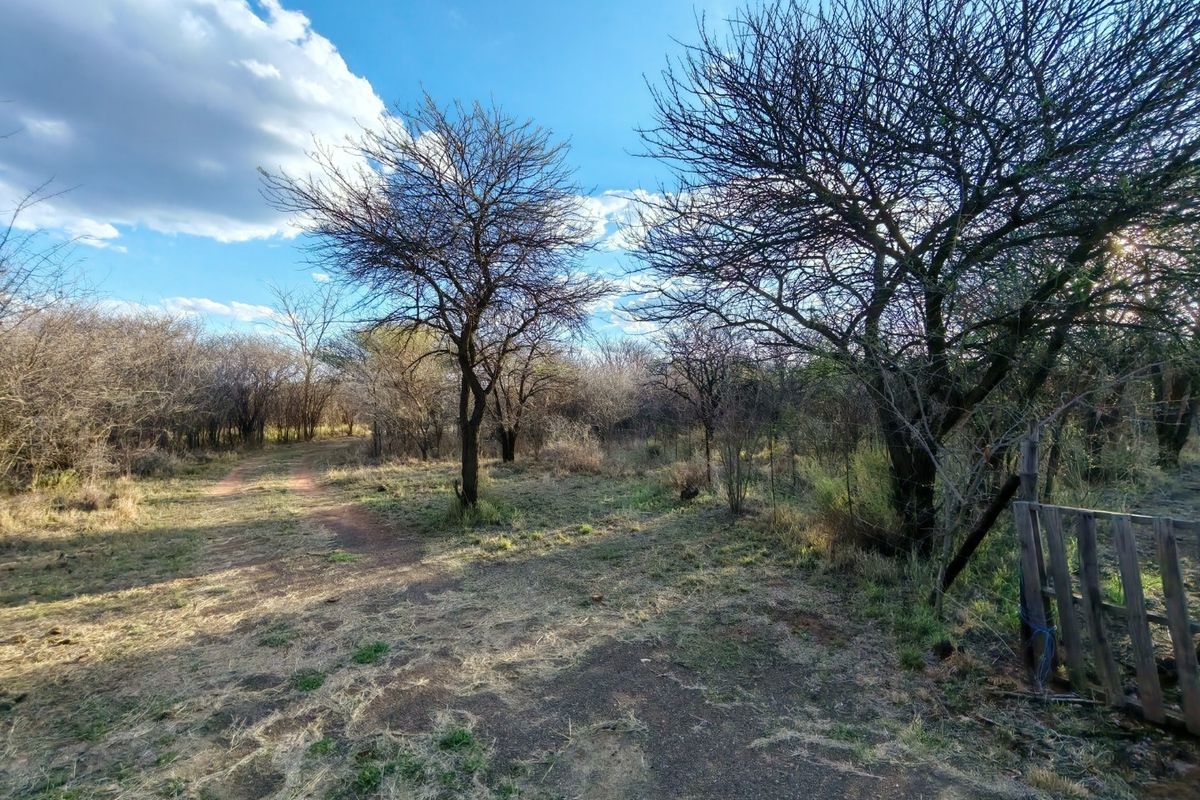 A view of the natural landscape on the small holding, featuring a dirt track, mature trees, and basic perimeter fencing.