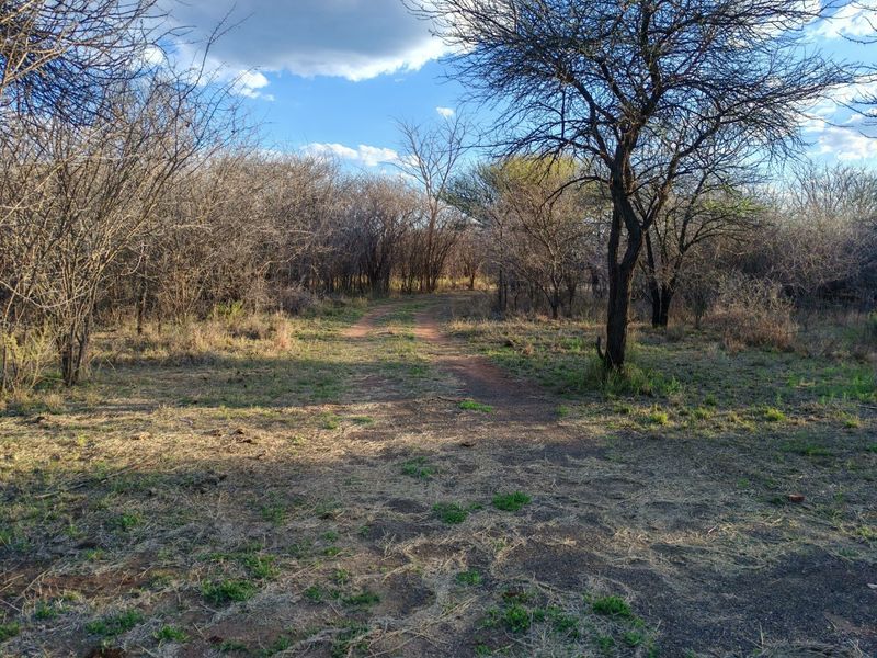 A natural, undeveloped outdoor area on the small holding featuring a dirt track winding through indigenous trees and dry vegetation.