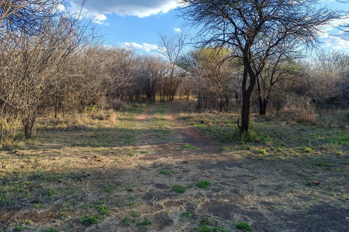 A natural, undeveloped outdoor area on the small holding featuring a dirt track winding through indigenous trees and dry vegetation.