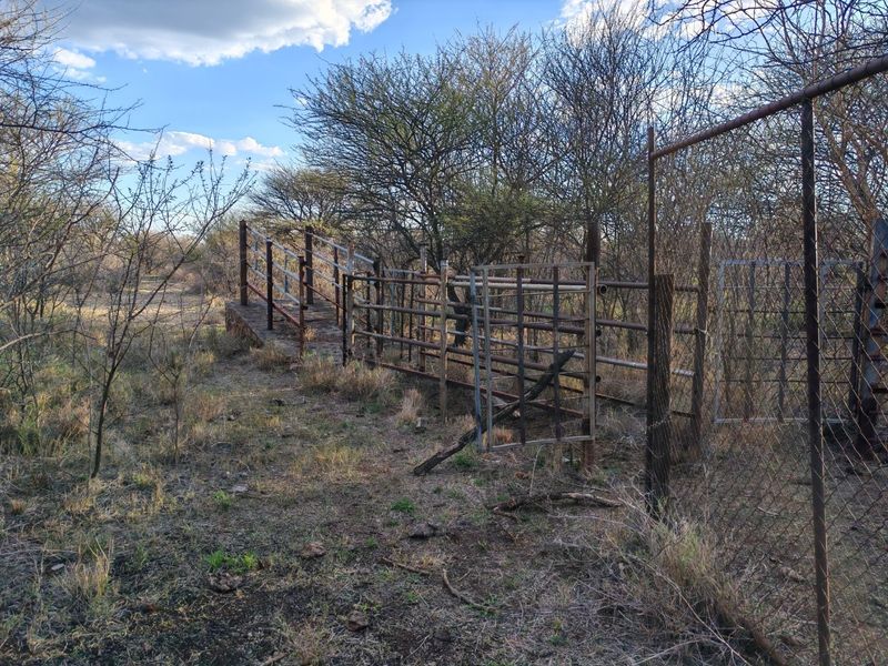 Outdoor area featuring weathered metal livestock handling infrastructure and perimeter fencing on the small holding property.