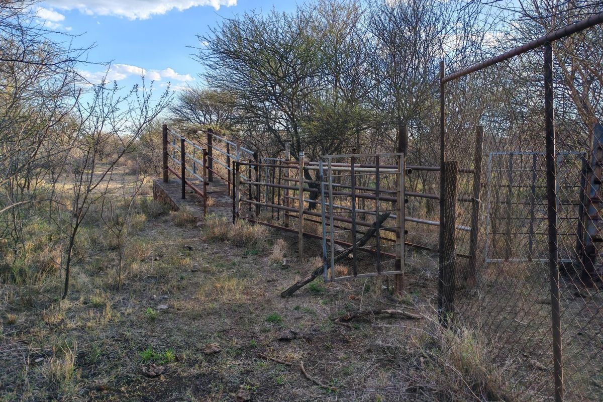 Outdoor area featuring weathered metal livestock handling infrastructure and perimeter fencing on the small holding property.