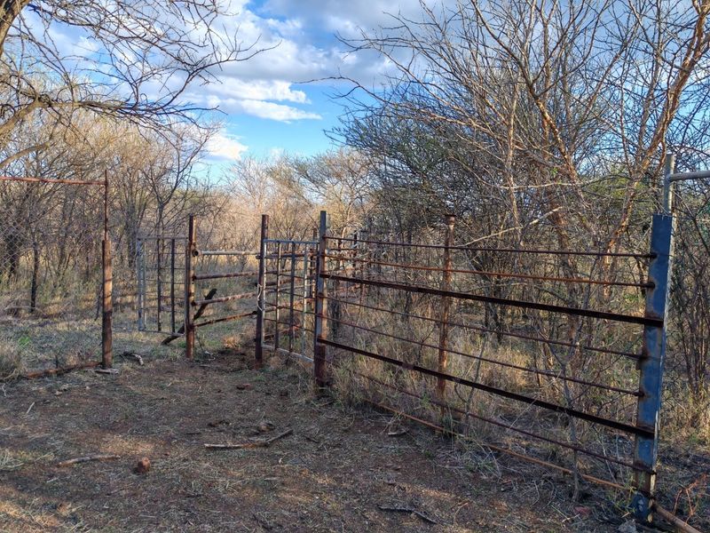 Outdoor area featuring weathered metal fencing and a gate, set within a natural bushveld landscape on the small holding.