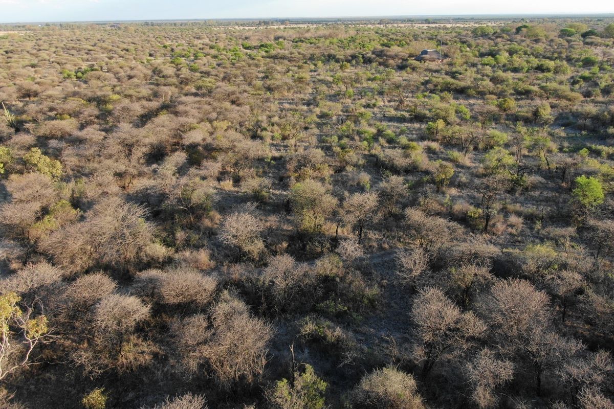 An aerial view of the expansive natural landscape and indigenous vegetation characteristic of the small holding property.