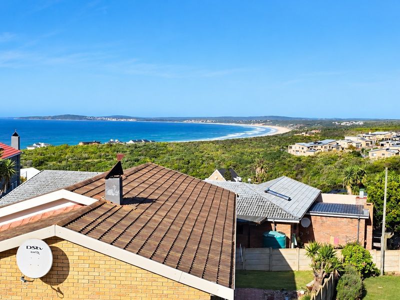 Elevated coastal view overlooking the surrounding residential neighborhood, natural vegetation, and the ocean coastline.
