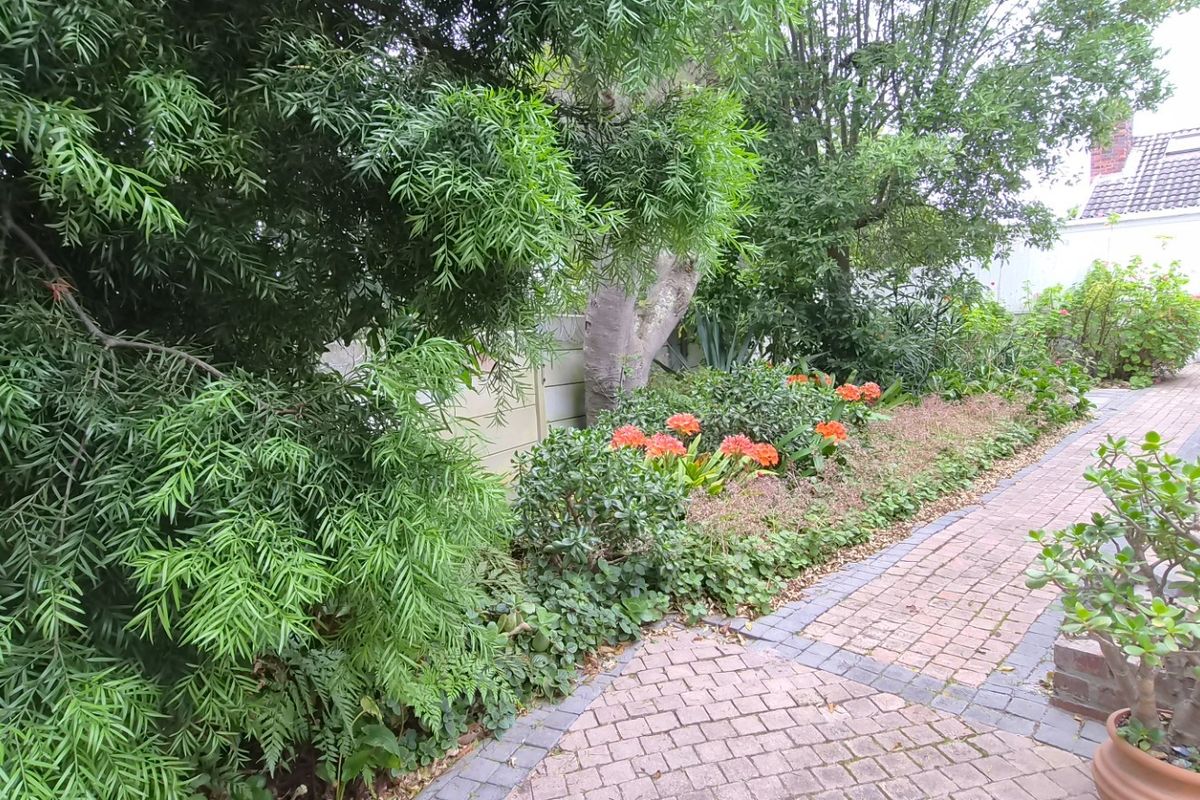 2 Bed Cottage To Rent in Tokai | MyProperty Africa