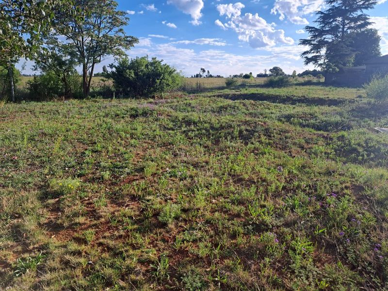 A view of the vacant residential land featuring natural vegetation and mature trees under a clear sky.