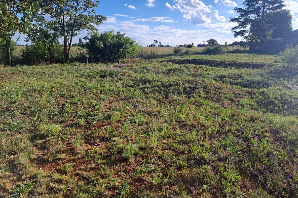 A view of the vacant residential land featuring natural vegetation and mature trees under a clear sky.