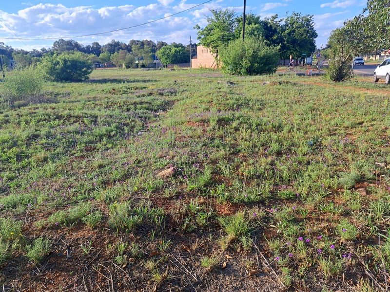 A view of a vacant residential plot featuring natural grassland and a utility pole, offering a blank canvas for future development.