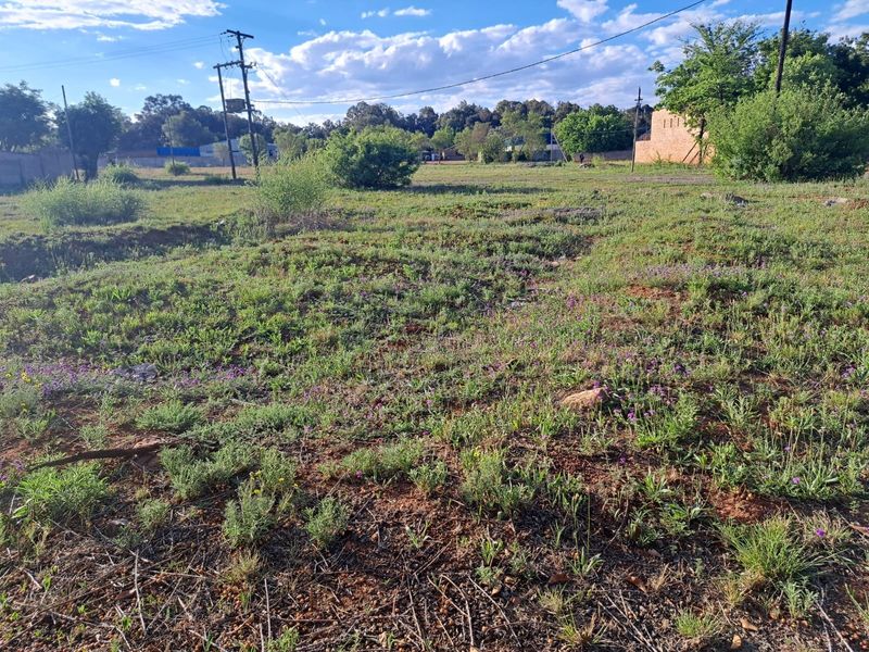A vacant residential plot featuring natural vegetation, overhead power lines, and a perimeter wall in the background.