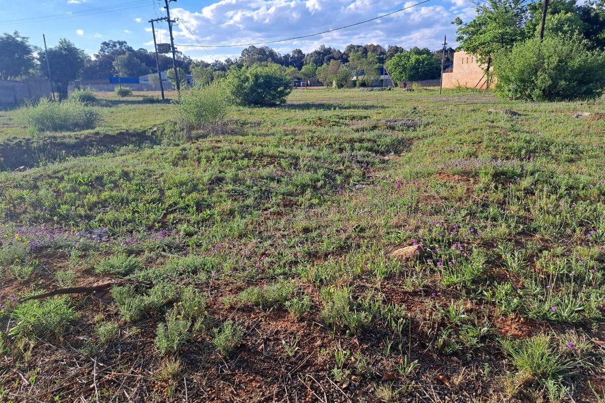 A vacant residential plot featuring natural vegetation, overhead power lines, and a perimeter wall in the background.