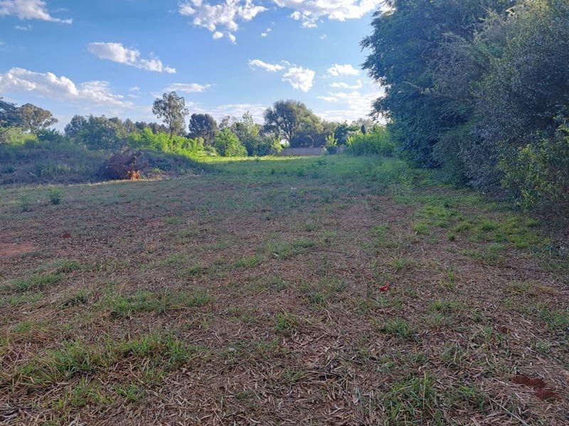 A view of a vacant residential plot featuring cleared land and mature trees along the perimeter.