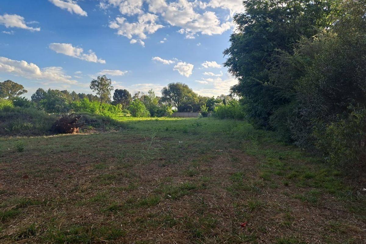 A spacious, open residential land plot featuring established trees and natural greenery, offering a peaceful setting for potential development.