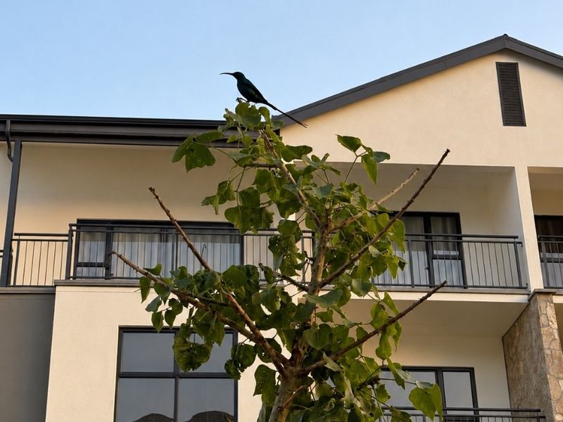 A view of the apartment building exterior featuring balconies with metal railings, sliding glass doors, and stone cladding accents.