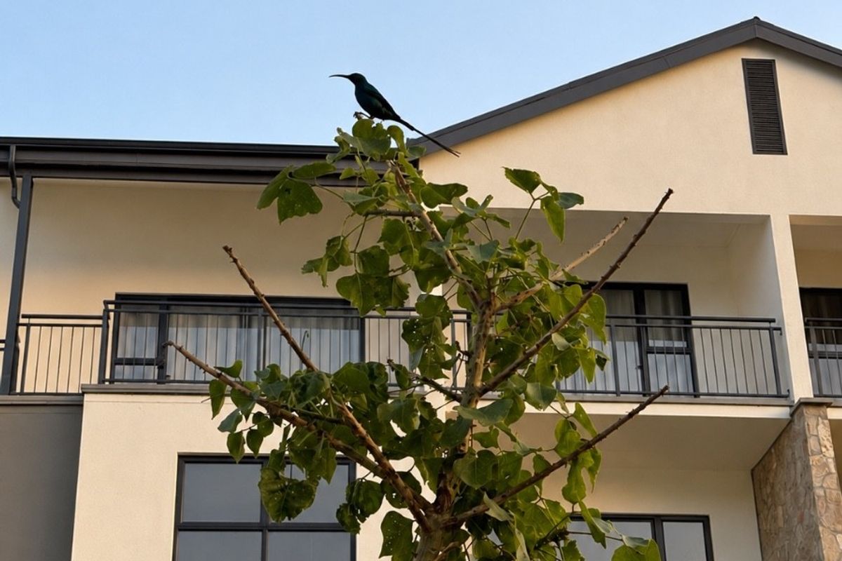 A view of the apartment building exterior featuring balconies with metal railings, sliding glass doors, and stone cladding accents.