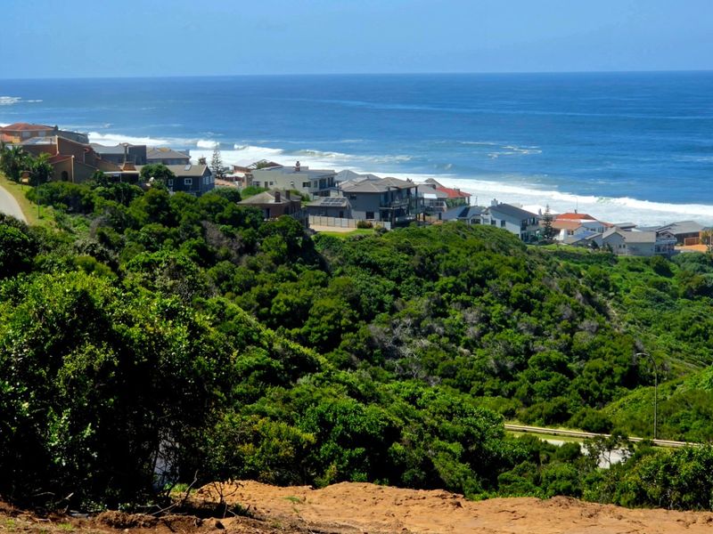 A scenic elevated view overlooking the coastline, featuring lush vegetation and residential properties along the oceanfront.