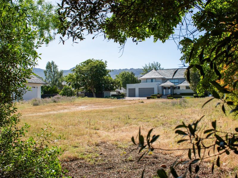 A view of a vacant residential plot with a neighbouring house and garage visible in the background, framed by foreground foliage.