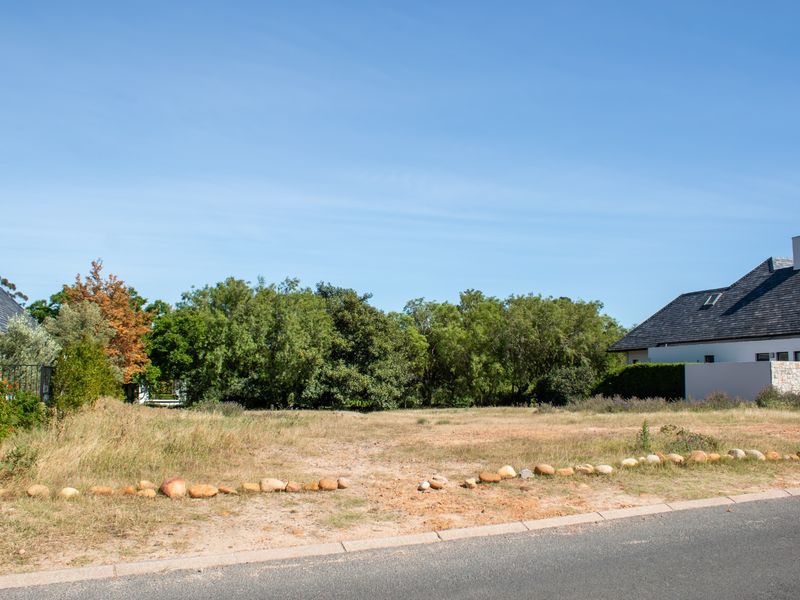 A vacant residential plot featuring a level building site, mature trees, and direct road access in a established neighborhood.