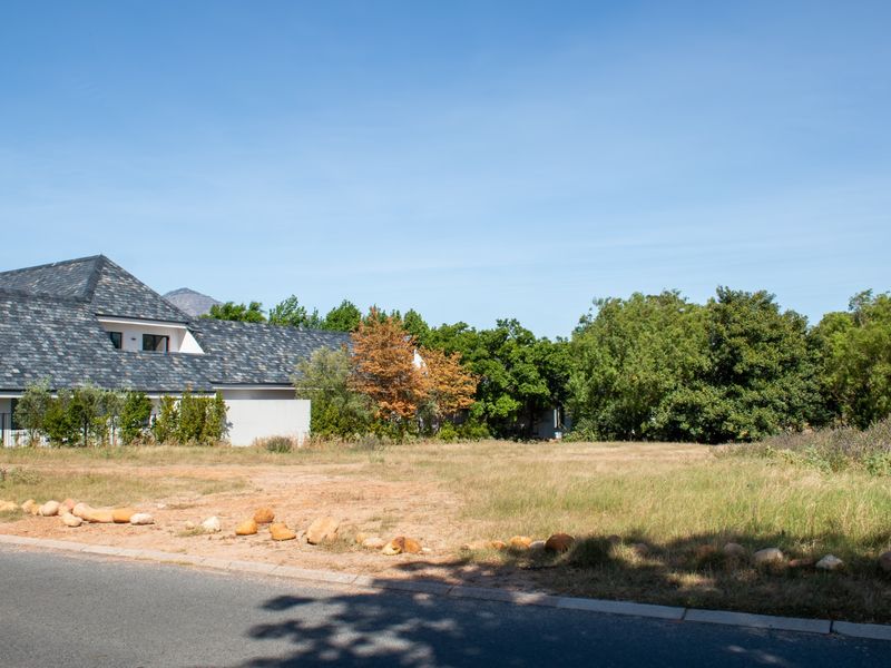 A vacant residential plot featuring established trees and direct road access, situated in a quiet neighborhood setting.