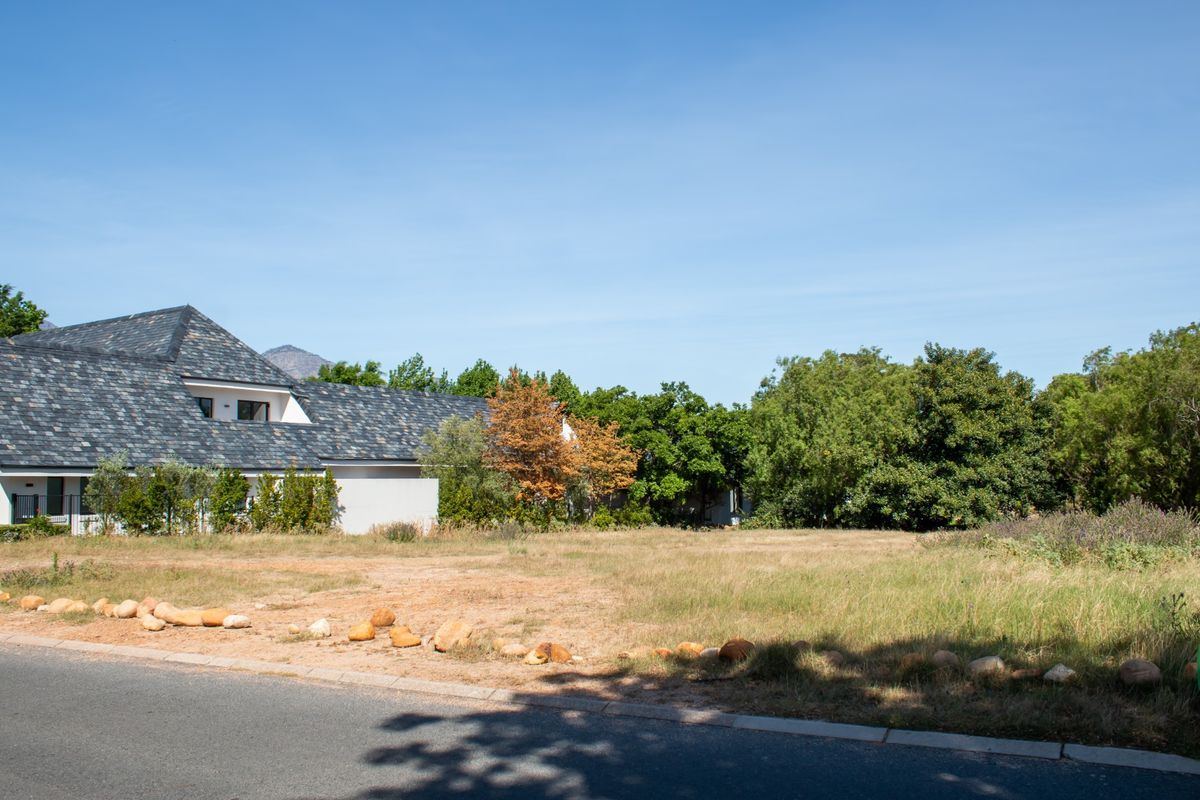 A vacant residential plot featuring established trees and direct road access, situated in a quiet neighborhood setting.