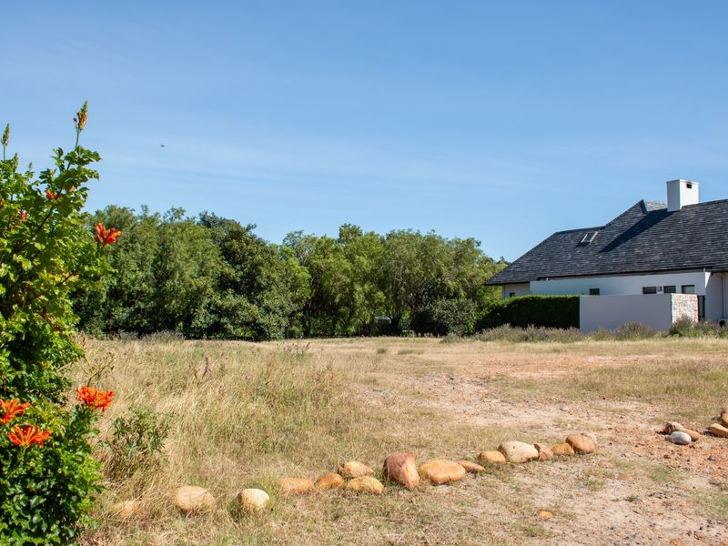 A view of a spacious residential plot featuring natural landscaping, mature trees, and a stone border, with a neighboring property visible in the background.