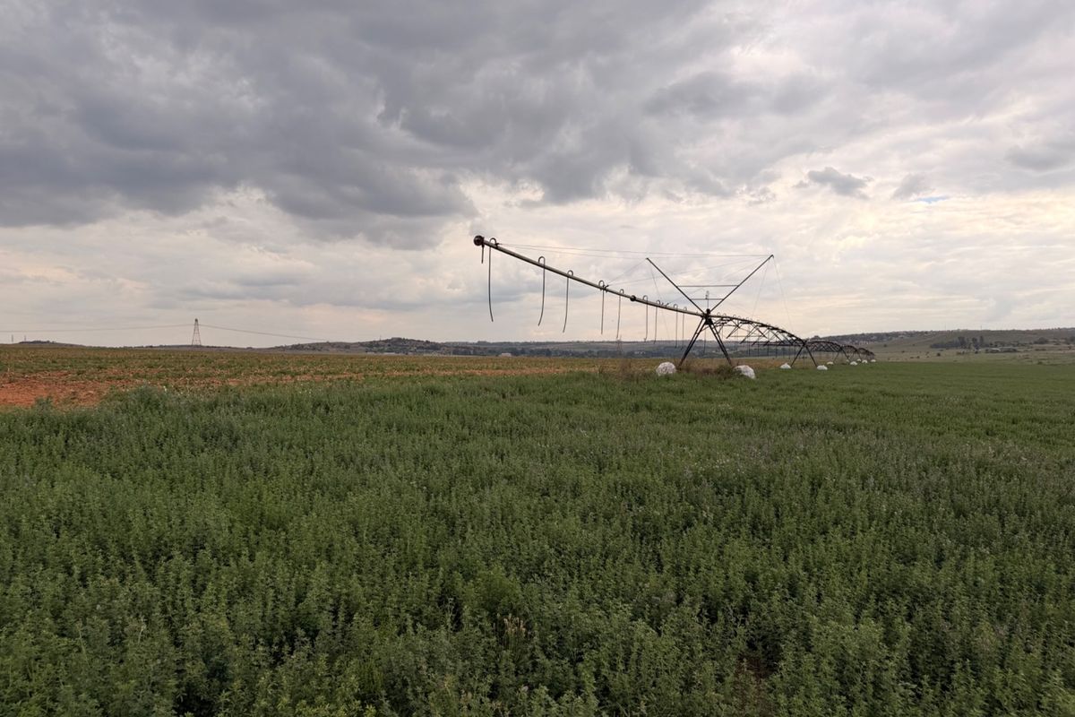 Expansive agricultural land featuring a center pivot irrigation system, showcasing the property's farming infrastructure and open landscape.
