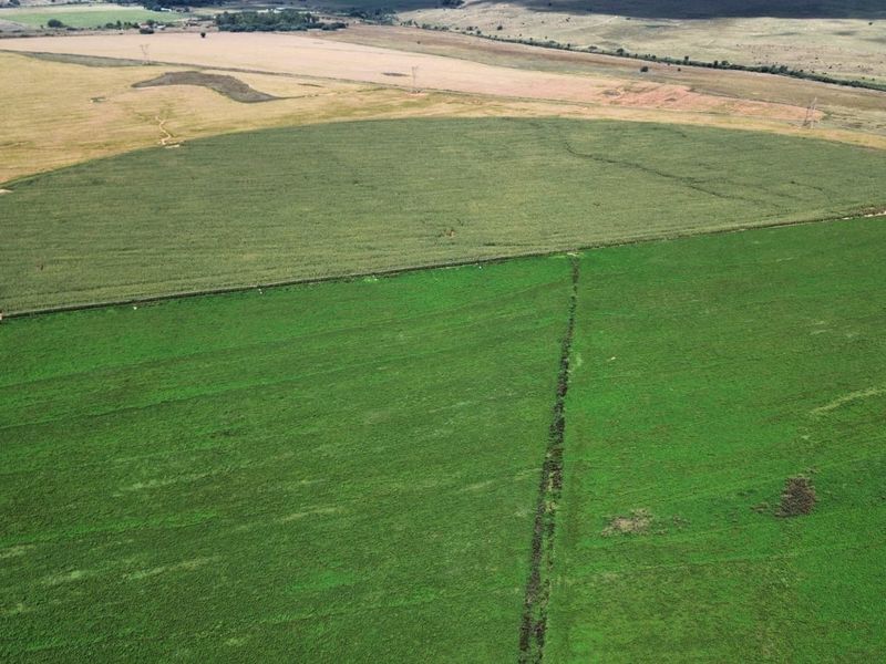 Aerial view of expansive agricultural farmland featuring large cultivated crop fields and established irrigation infrastructure.
