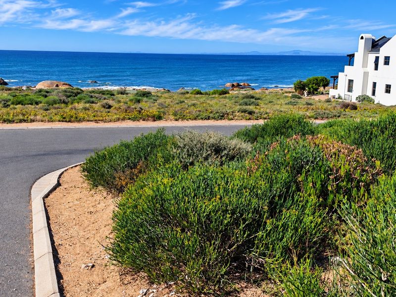 A scenic view of the coastline featuring a paved road, native vegetation, and a clear ocean horizon.