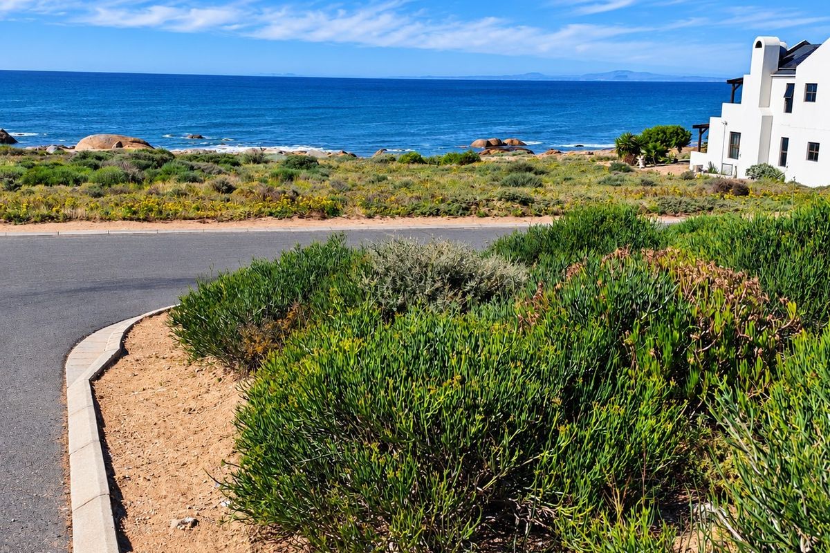 A scenic view of the coastline featuring a paved road, native vegetation, and a clear ocean horizon.