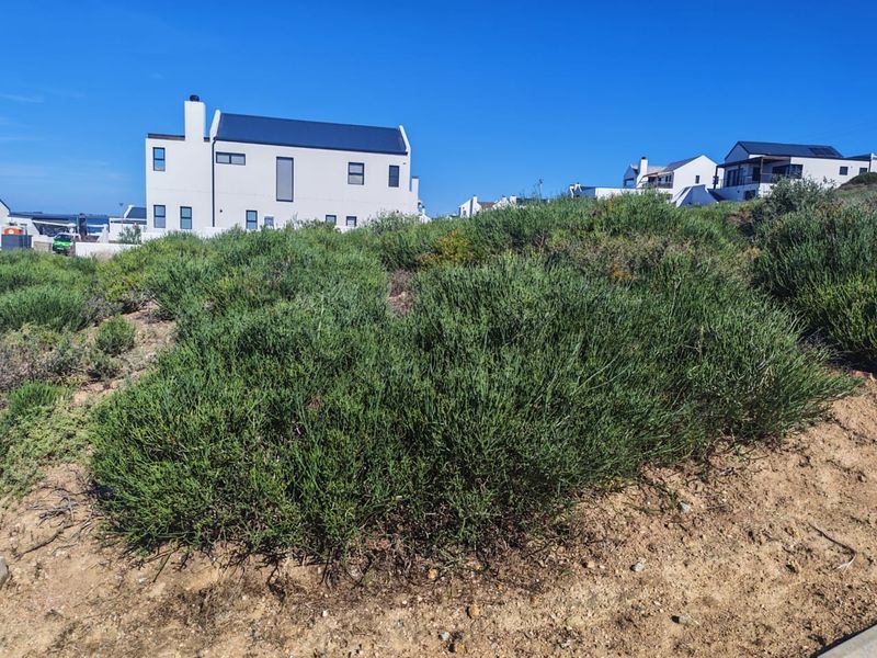 A view of a vacant residential plot featuring natural coastal vegetation and sandy terrain, situated in a developed neighborhood.