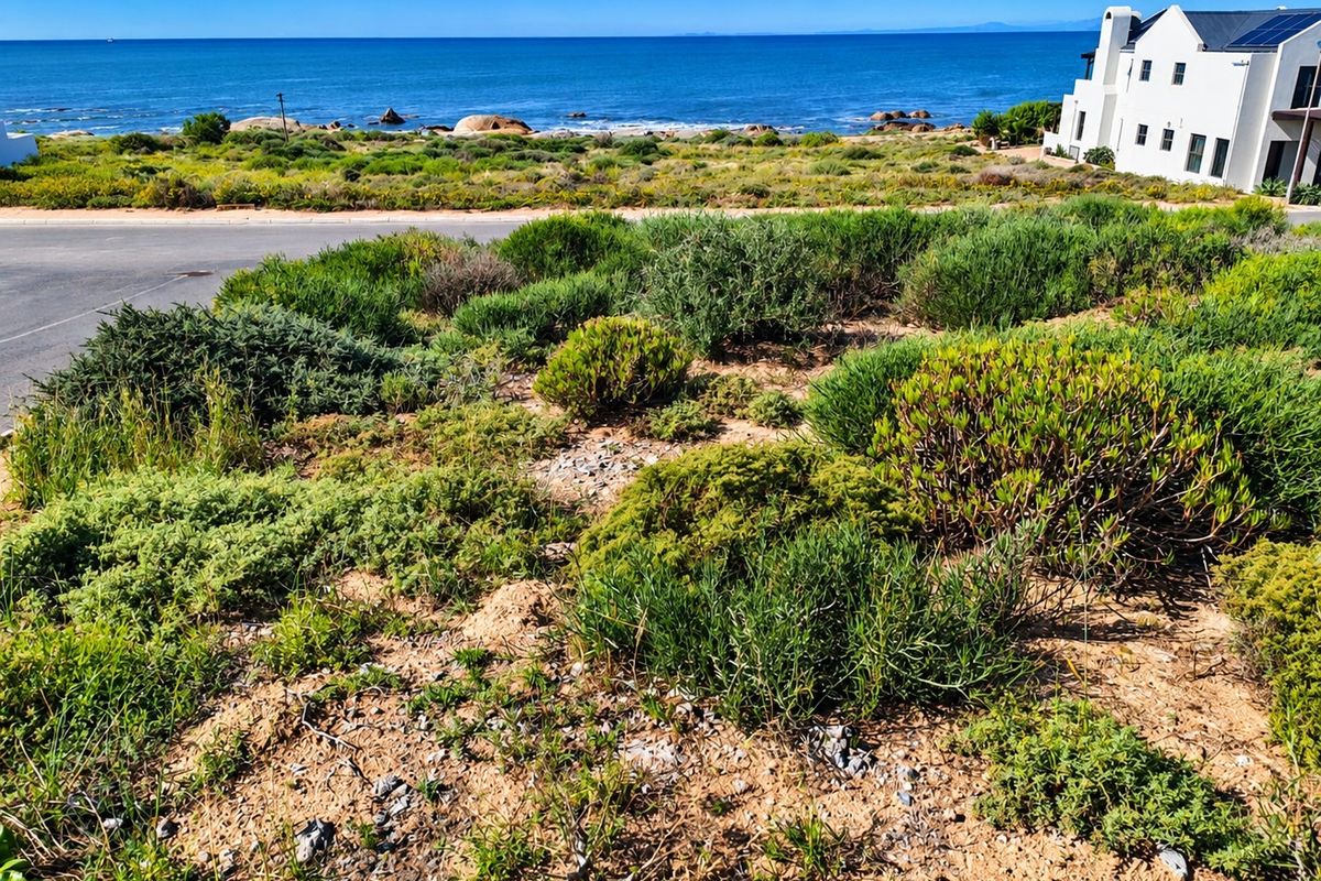 A scenic view of the coastal landscape and ocean from the vacant residential property.