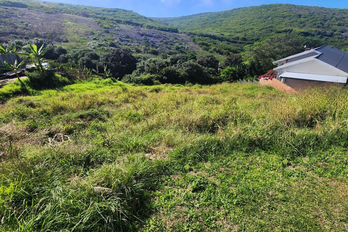 A view of a sloped, grass-covered vacant residential plot with surrounding natural vegetation and adjacent residential property.