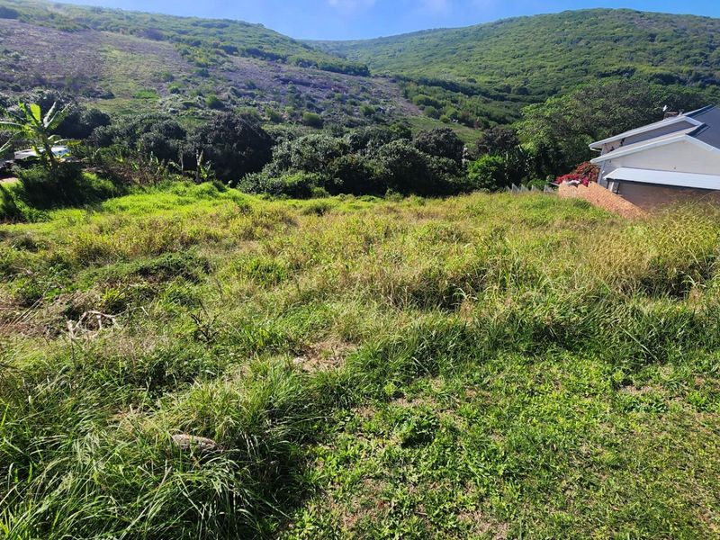 A view of a sloped, grass-covered vacant residential plot with surrounding natural vegetation and adjacent residential property.