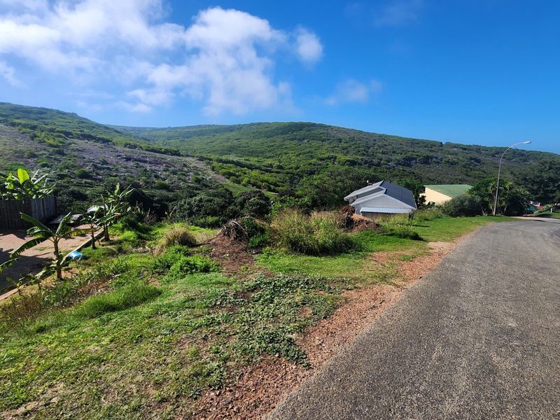 A scenic view of the sloped landscape and surrounding natural vegetation from the roadside.