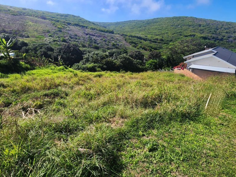 A view of the sloped residential vacant land featuring natural vegetation and surrounding hillside landscape.
