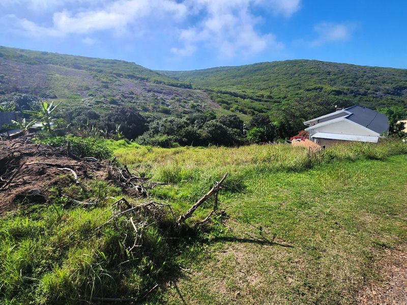 A scenic view of a sloped, undeveloped residential plot featuring natural vegetation and surrounding hillside landscape.