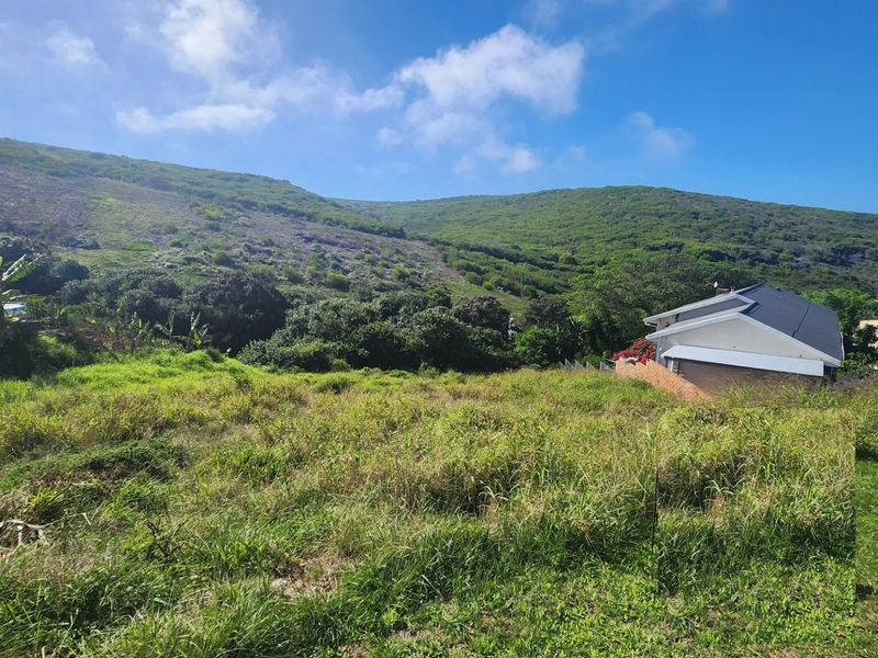 A view of the vacant residential land featuring sloped terrain and natural vegetation with surrounding hillside landscape.