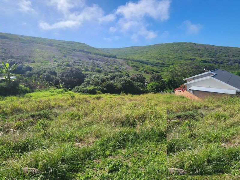 A view of the vacant residential land featuring natural vegetation and a sloped landscape with surrounding hillside scenery.