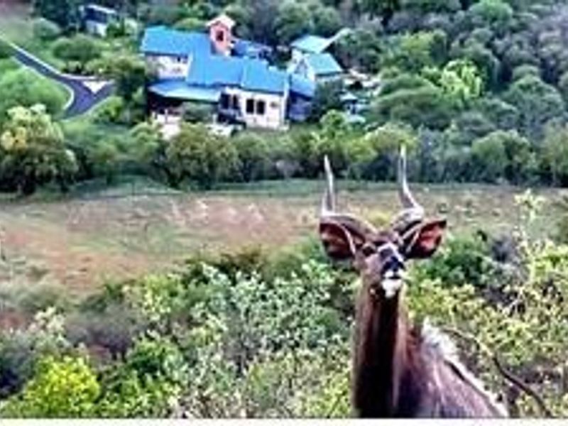 A scenic elevated view of the farm property featuring the main residence, surrounding landscape, and local wildlife.