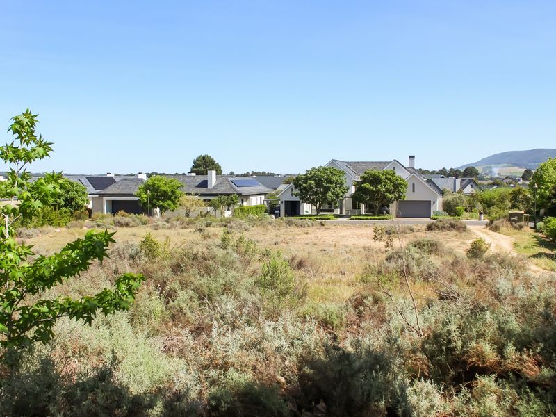 A view of a vacant residential plot featuring native vegetation with established residential homes visible in the background.