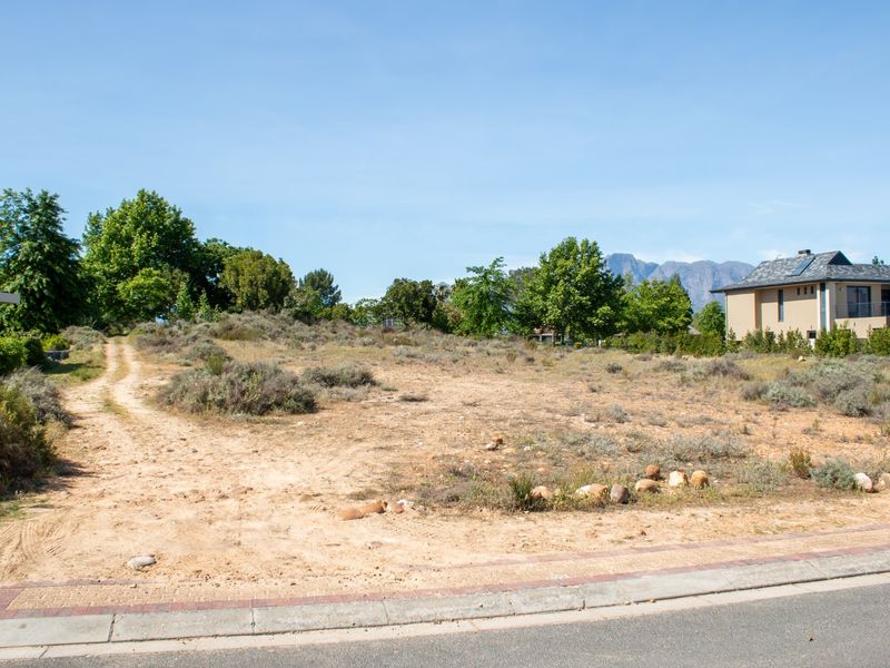 A vacant residential plot featuring a dirt driveway and natural vegetation, situated in a developed neighborhood with mountain views.
